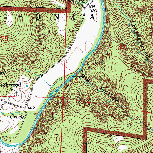 Topographic Map of Big Hollow, AR