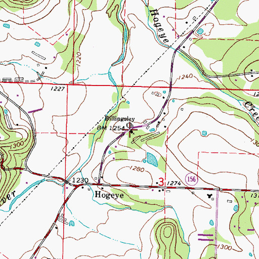 Topographic Map of Billingsley Church, AR