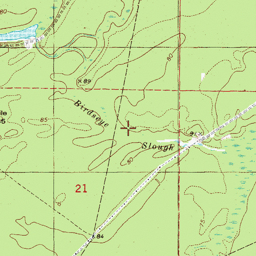 Topographic Map of Birdseye Slough, AR