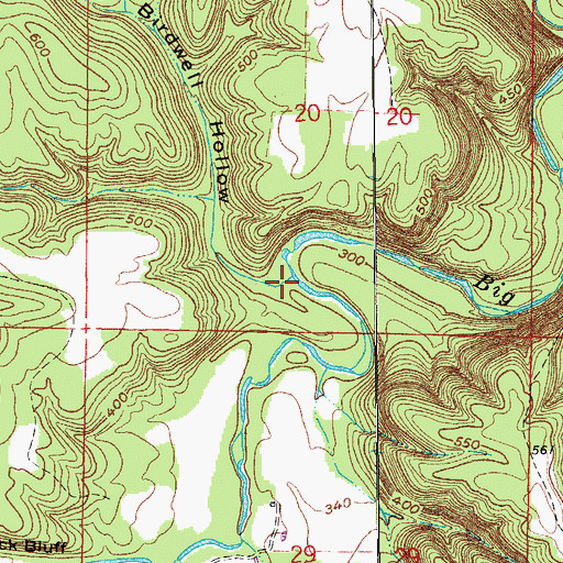 Topographic Map of Birdwell Hollow, AR