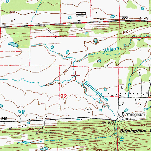 Topographic Map of Birmingham Branch, AR