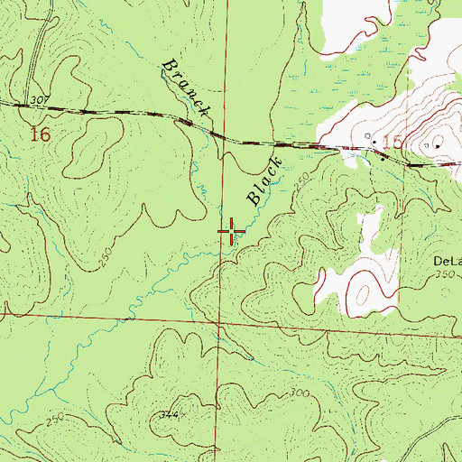 Topographic Map of Black Branch, AR