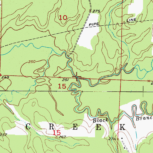 Topographic Map of Black Branch, AR