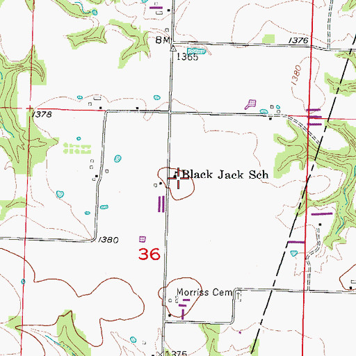 Topographic Map of Black Jack School, AR