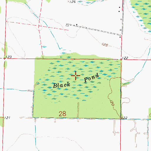 Topographic Map of Black Pond, AR