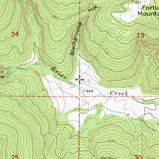 Topographic Map of Blackground Hollow, AR