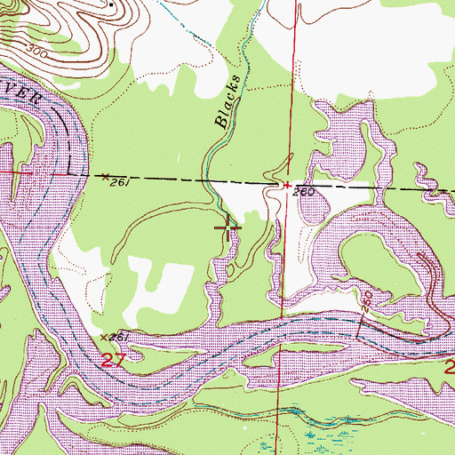Topographic Map of Blacks Branch, AR