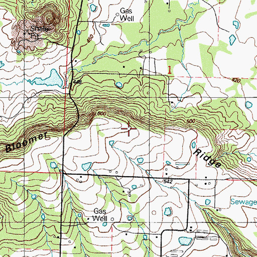 Topographic Map of Bloomer Ridge, AR