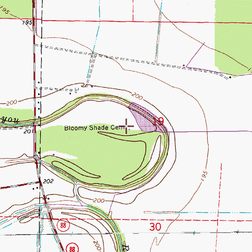 Topographic Map of Bloomy Shade Cemetery, AR