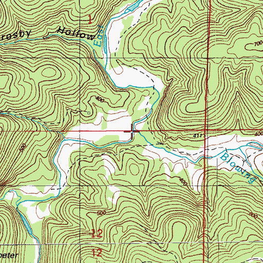 Topographic Map of Blowing Cave Creek, AR