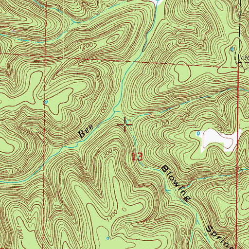 Topographic Map of Blowing Spring Hollow, AR