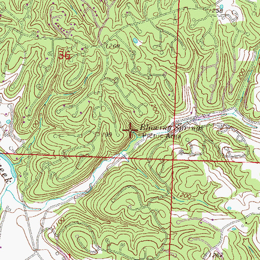 Topographic Map of Blowing Springs, AR