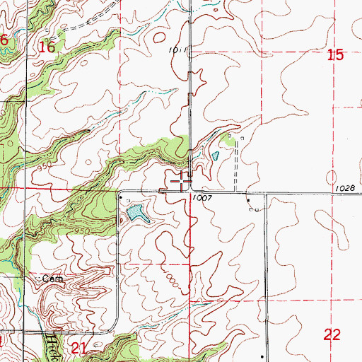 Topographic Map of Township of Adel, IA