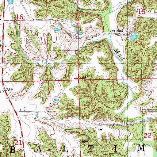Topographic Map of Township of Baltimore, IA