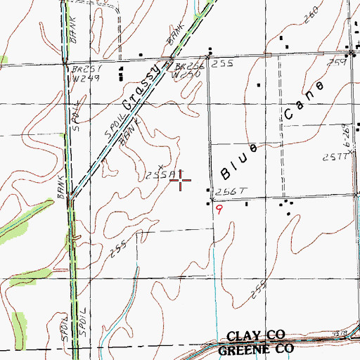 Topographic Map of Blue Cane Island, AR