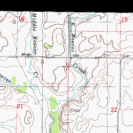 Topographic Map of Township of Beaver, IA