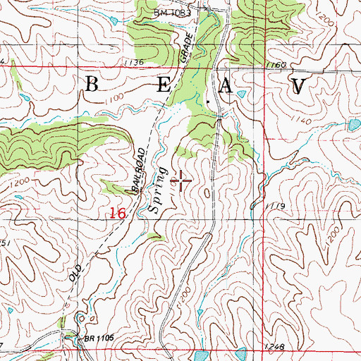 Topographic Map of Township of Beaver, IA