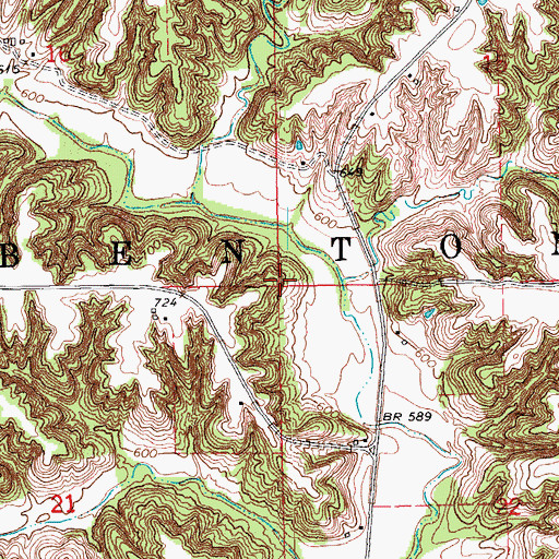 Topographic Map of Township of Benton, IA