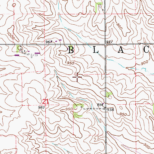 Topographic Map of Township of Black Hawk, IA