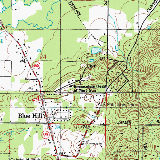 Topographic Map of Blue Hill School, AR