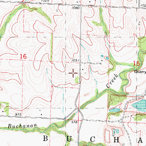 Topographic Map of Township of Buchanan, IA