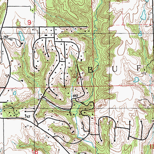 Topographic Map of Township of Buffalo, IA