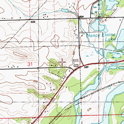 Topographic Map of Township of Camanche, IA