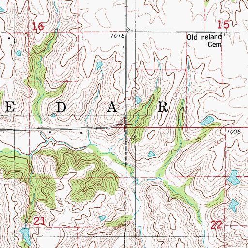 Topographic Map of Township of Cedar, IA