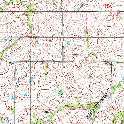 Topographic Map of Township of Cedar, IA