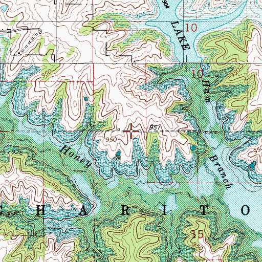 Topographic Map of Township of Chariton, IA