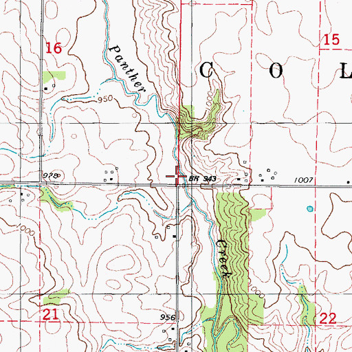 Topographic Map of Township of Colfax, IA