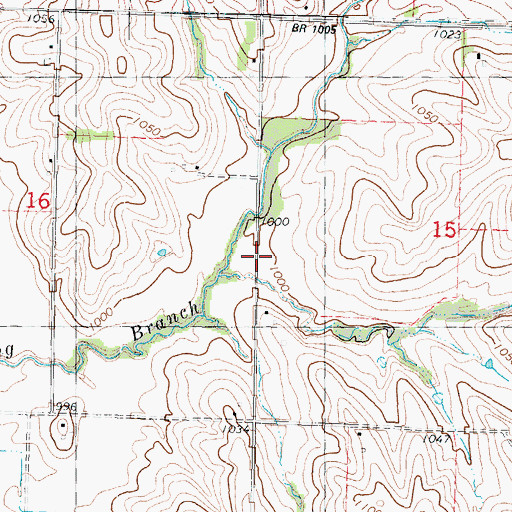 Topographic Map of Township of Colfax, IA