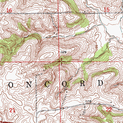 Topographic Map of Township of Concord, IA