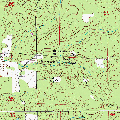 Topographic Map of Blue Springs, AR