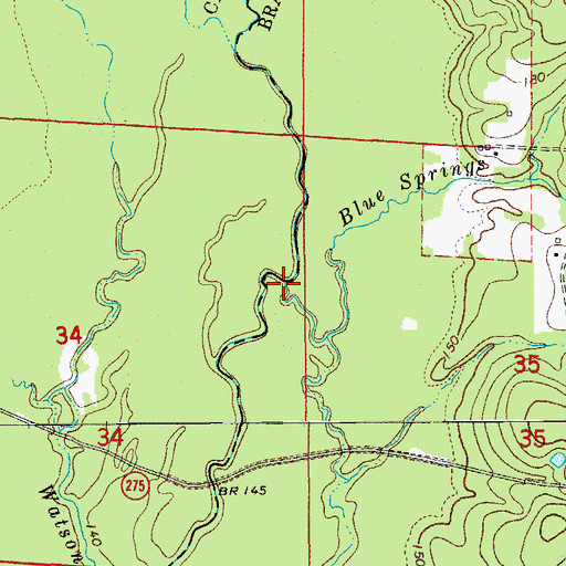 Topographic Map of Blue Springs Branch, AR