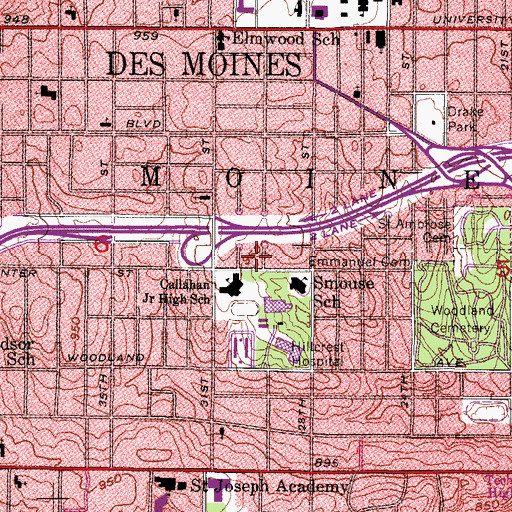 Topographic Map of Township of Des Moines, IA