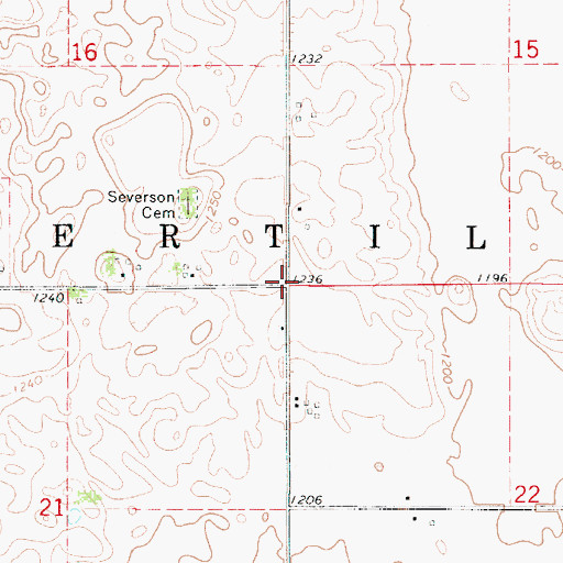 Topographic Map of Township of Fertile, IA