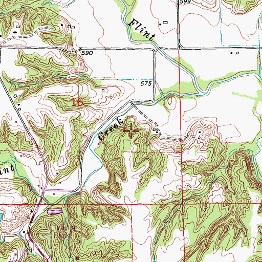 Topographic Map of Township of Flint River, IA