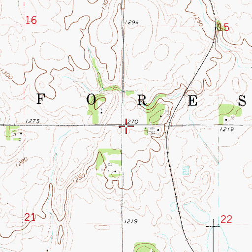 Topographic Map of Township of Forest, IA