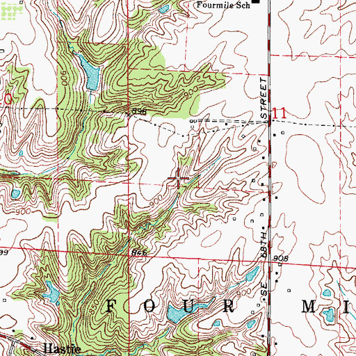 Topographic Map of Township of Four Mile, IA