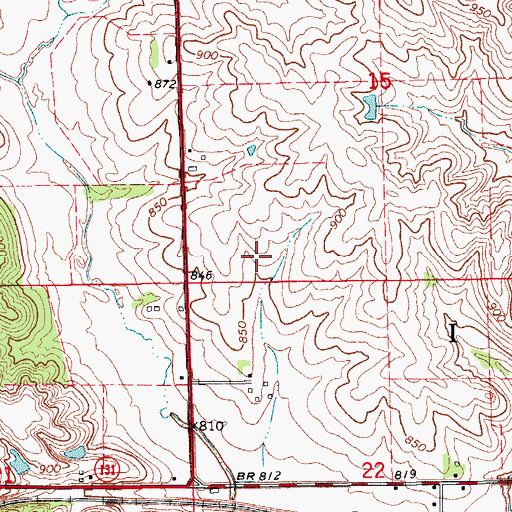 Topographic Map of Township of Iowa, IA