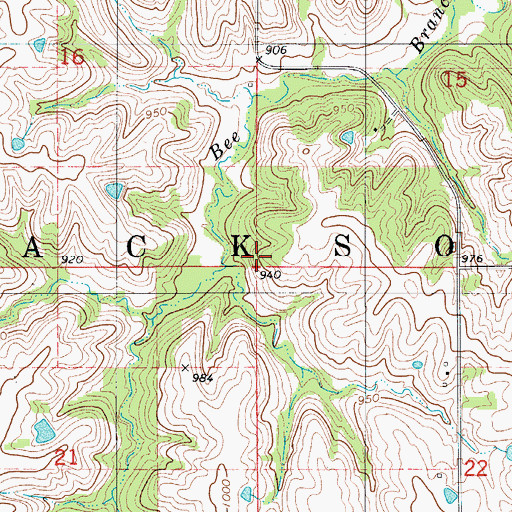 Topographic Map of Township of Jackson, IA