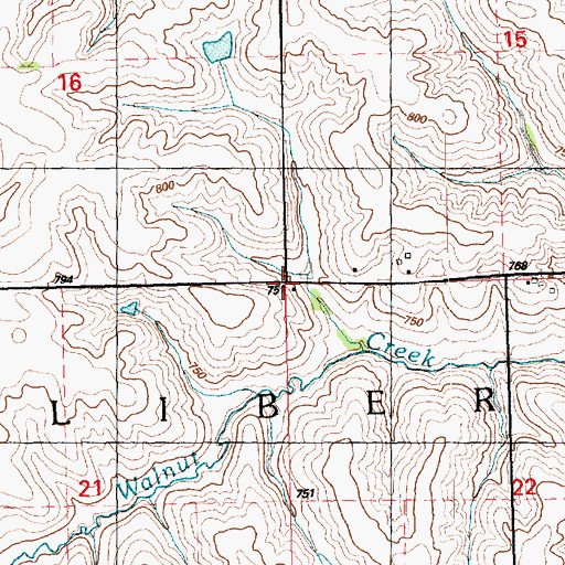 Topographic Map of Township of Liberty, IA