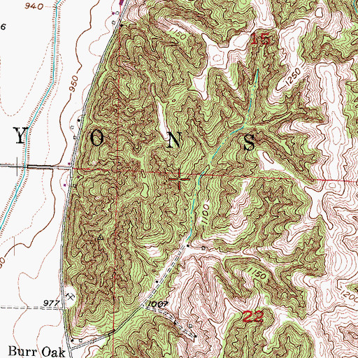 Topographic Map of Township of Lyons, IA