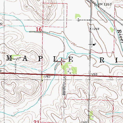 Topographic Map of Township of Maple River, IA