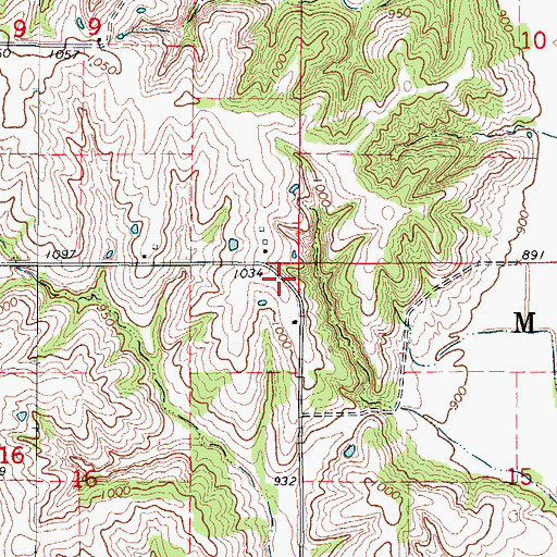 Topographic Map of Township of Morgan, IA