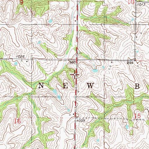 Topographic Map of Township of New Buda, IA