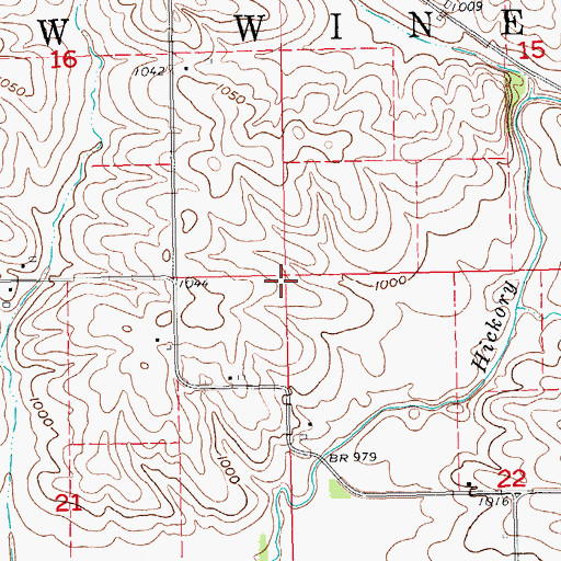 Topographic Map of Township of New Wine, IA