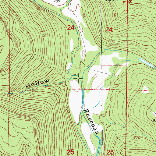 Topographic Map of Bothersome Creek, AR