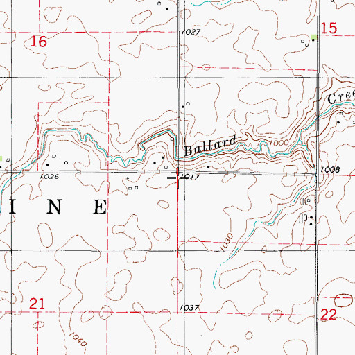 Topographic Map of Township of Palestine, IA